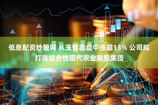 低息配资炒股网 从玉智农盘中涨超13% 公司拟打造综合性现代农业旗舰集团