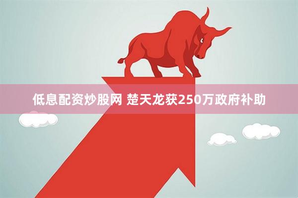 低息配资炒股网 楚天龙获250万政府补助